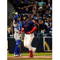 Worcester Red Sox left fielder Allan Castro