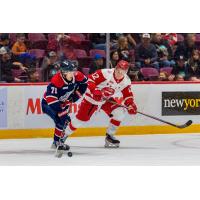 Saginaw Spirit's Dima Zhilkin battles Soo Greyhounds' Brady Smith