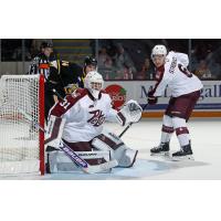 Peterborough Petes goaltender Owen Nelson vs. the Sarnia Sting