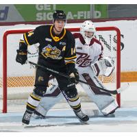 Peterborough Petes goaltender Owen Nelson vs. the Sarnia Sting