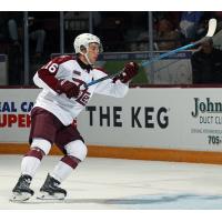 Peterborough Petes left wing Adam Novotný