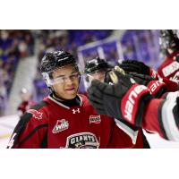 Vancouver Giants left wing Dennis Emesibe