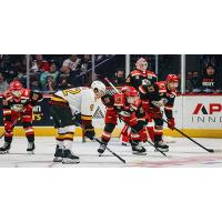 Grand Rapids Griffins face off with the Chicago Wolves