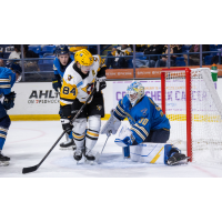 Springfield Thunderbirds goaltender Georgii Romanov vs. the Wilkes-Barre/Scranton Penguins