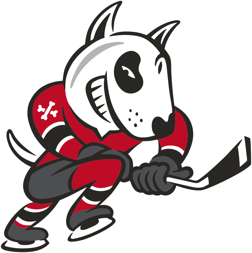 IceDogs vs 67s Tonight at 7pm OurSports Central