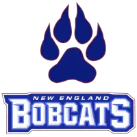 New England Bobcats (AAL)