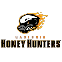 AtL Gastonia Honey Hunters