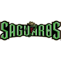 Surprise Saguaros (AzFL)