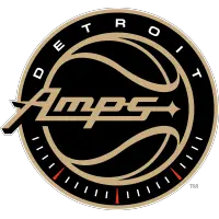 Detroit Amplifiers (BIG3)