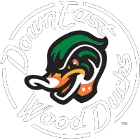  Down East Wood Ducks