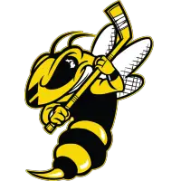 Battle Creek Rumble Bees (FPHL)