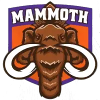 FPHL Elmira Mammoth