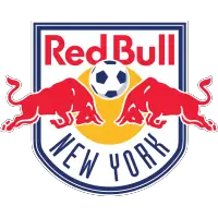 MLS New York Red Bulls