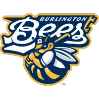 MWL1 Burlington Bees