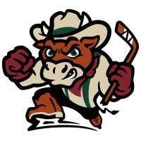 Billings Cattle Punchers (NAHL)