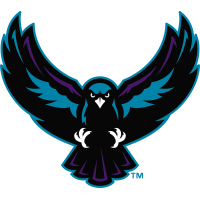 NLL Rochester Knighthawks