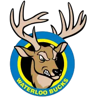  Waterloo Bucks