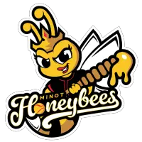 NWLS Minot Honeybees