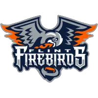 OHL Flint Firebirds