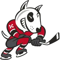  Niagara IceDogs