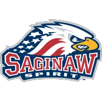 OHL Saginaw Spirit