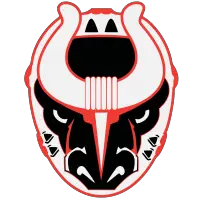 SPHL Birmingham Bulls