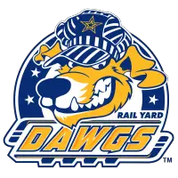 SPHL Roanoke Rail Yard Dawgs