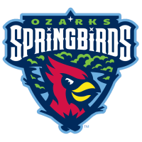 TL1 Ozarks Springbirds