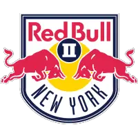 MLS NEXT Pro New York Red Bulls II