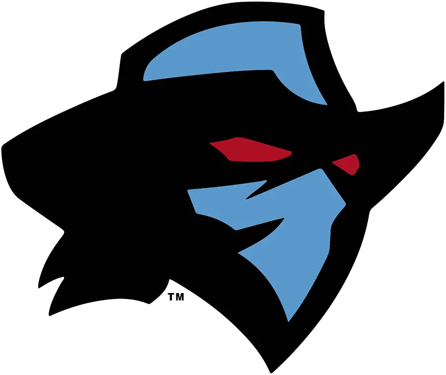 Dallas Renegades