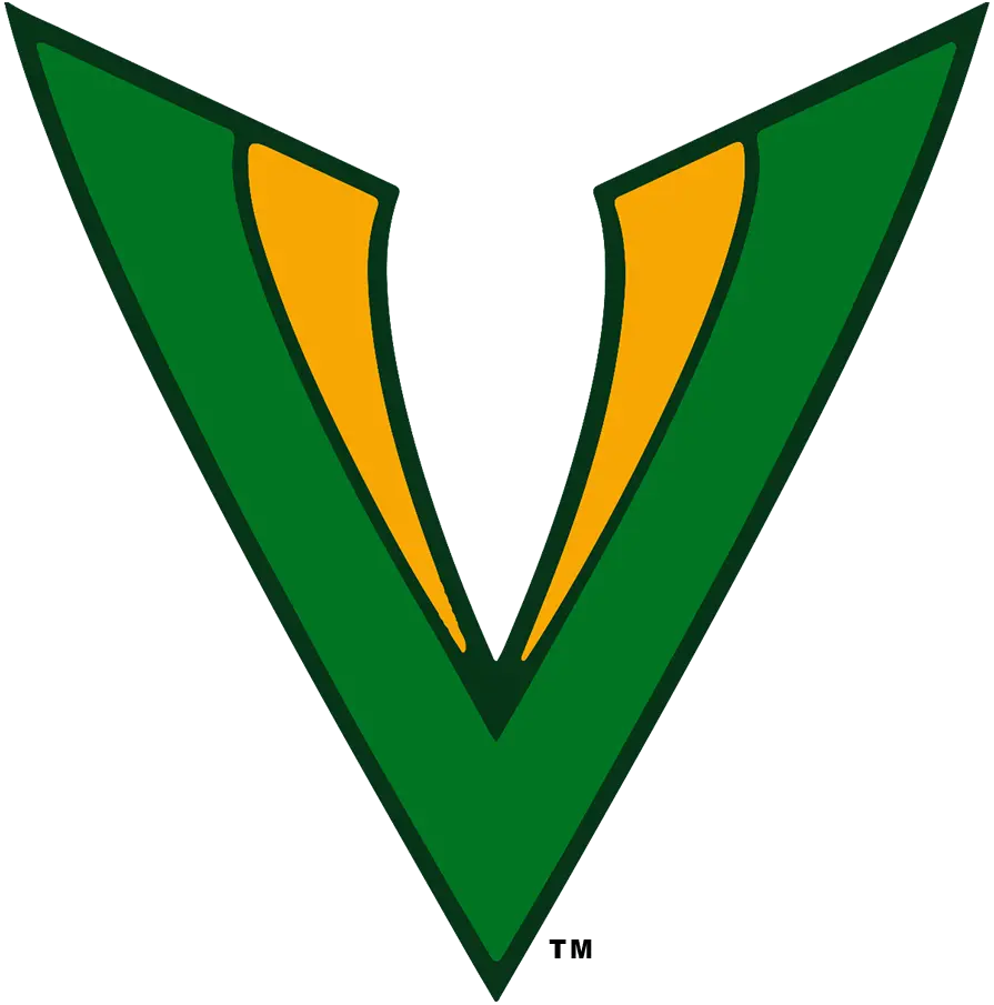 Tampa Bay Vipers