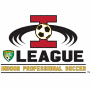 Indoor Professional Soccer