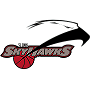 St. Louis SkyHawks (USBL)