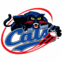 Fort Worth Cats (ULB)