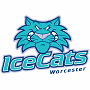 AHL Worcester IceCats