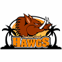 Daytona Beach Hawgs