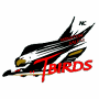  Winston-Salem T-Birds