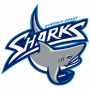 Emerald Coast Sharks