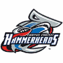 Corpus Christi Hammerheads (LSFL)