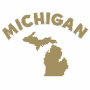Team Michigan