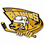 Troy Bruins (AAHL)