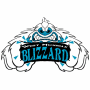Indiana Blizzard (AAHL)