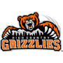High Country Grizzlies