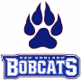 New England Bobcats