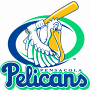  Pensacola Pelicans