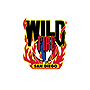 San Diego WildFire