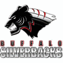 Buffalo Silverbacks (ABA)