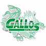 Juarez Gallos