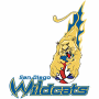  San Diego Wildcats