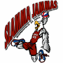 Minneapolis/St. Paul Slamma Jammas